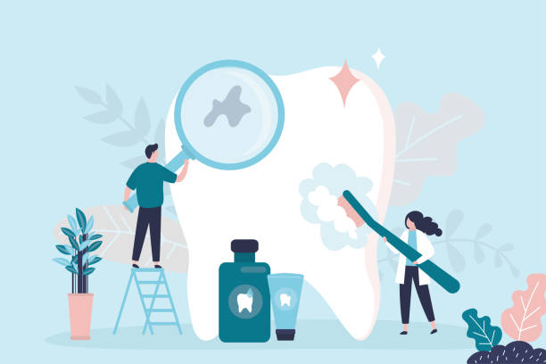 Best Dental X-Rays and Imaging  in Apollo Beach, FL
